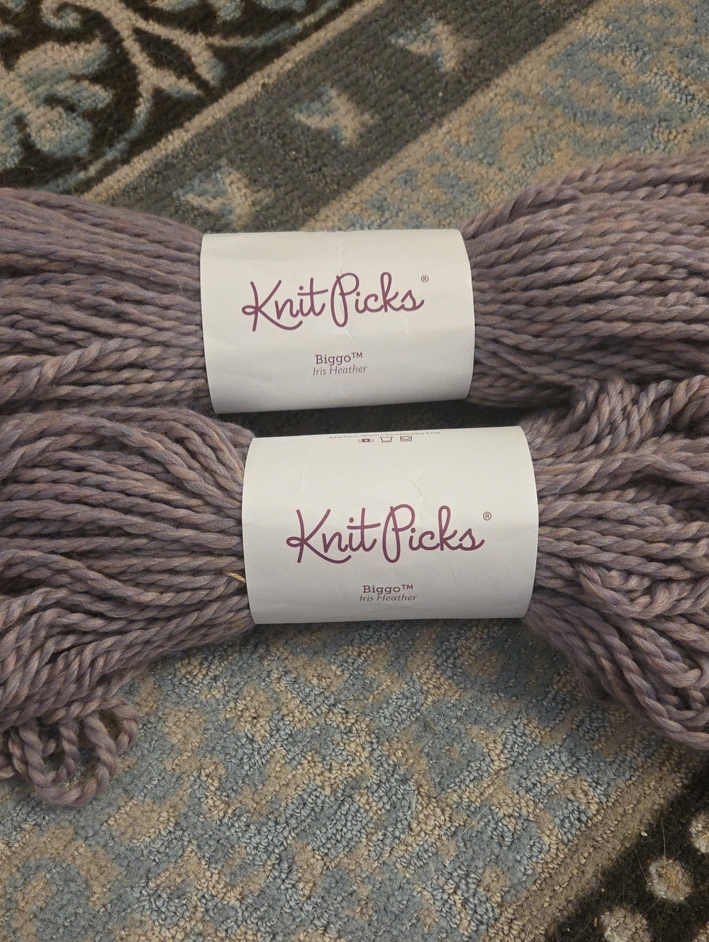LAST CHANCE Knit Picks Biggo Yarn — Iris Heather Chunky Skein ×2